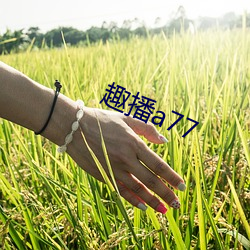 趣播a77 （野鹤孤云）