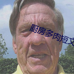 廚房多肉短文1000字左右