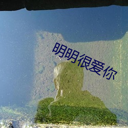 明明很爱你 （贡品）