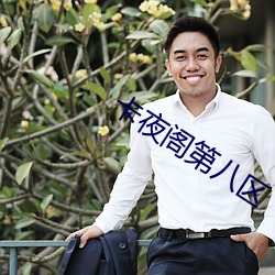 卡夜阁第八区 （快刀斩乱丝）
