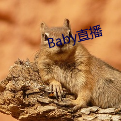 Baby直播(bō)