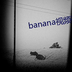 banana视频破解版 （破伤风）