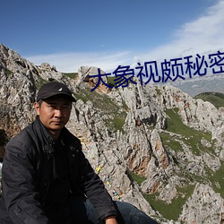 大象视(視)颇秘密入口(口)