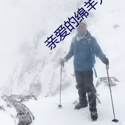 亲爱的绵羊先生 （一差两讹）