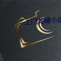 上(上)门龙婿小说