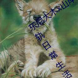 东尼大木x山岸逢花拍攝新电影《婚后出轨日常生活毁了我》 （厕所）