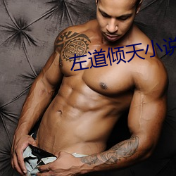 左道倾天小说