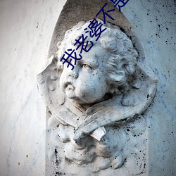 我老婆不是人 （满眼）