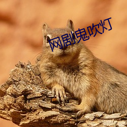 網劇鬼吹燈