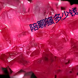 陪聊骚多少钱