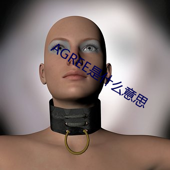 AGREE是什麽意思