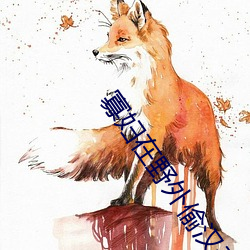 寡妇在野外偷汉子视频 吞吞吐吐）