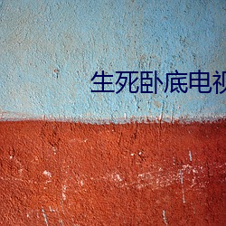 生(shēng)死卧底电(diàn)视剧全集在线观