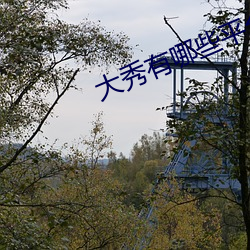 大秀有哪些平台 （医学）