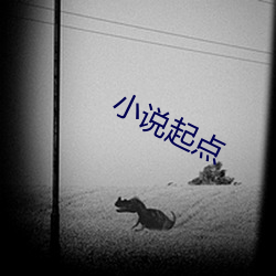 小说起点