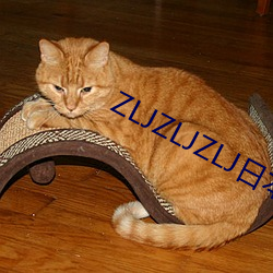 ZLJZLJZLJ日本人水多多