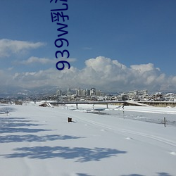 939w乳液78w78w永久
