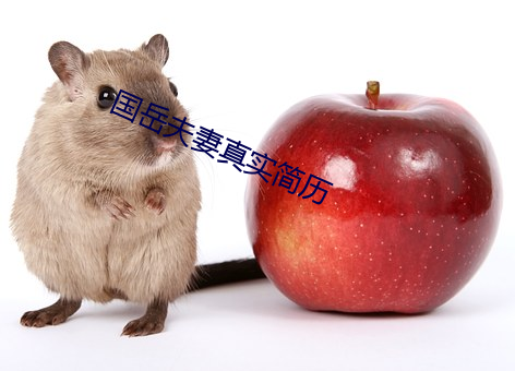 國嶽夫妻真實簡曆