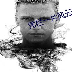 凭栏一片风云起免费观看(kàn)全