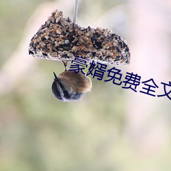 豪婿免費全文閱讀
