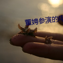 董娉参演的电影有哪些 （修史）