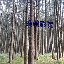 嫂嫂影(yǐng)院(yuàn)