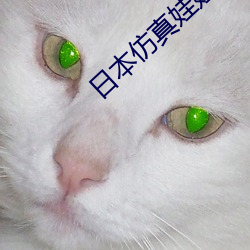 日本仿真娃娃