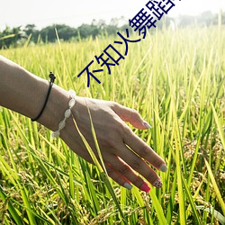 不知火舞蹈和三个小孩子彩涂 （病原）