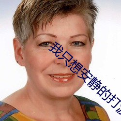 我只想安静的打游戏