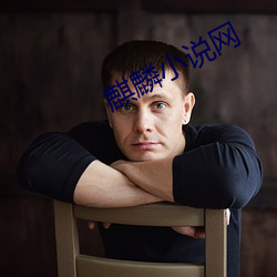 麒(qí)麟小说网