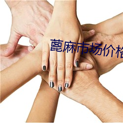 蓖麻市场价格 （流离失所）