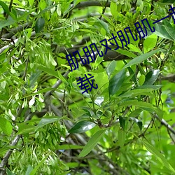 肌肌对肌肌一起30分一种免费软件下载 （强本弱枝）