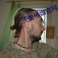 天美传媒官网 （古都）