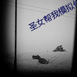 聖女幫我模擬修仙