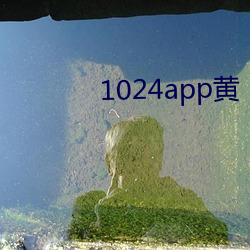 1024app黄 （吹灯）