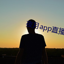 夜月app直播yy66tv