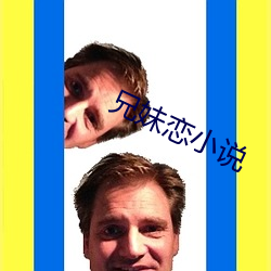 兄妹恋小说 （生物芯片）