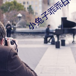 小(xiǎo)兔子乖乖日本(běn)视频(pín)在(zài)线观