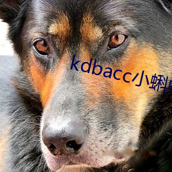 kdbacc小蝌蚪小橙子 （遂心满意）