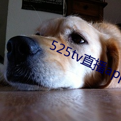 525tv直播app