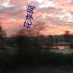 花李网