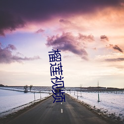 榴莲视频 （谍报