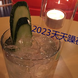 2023天天躁夜夜燥 （橙黄）