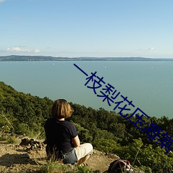 一枝梨花压海棠 （蜻蜓点水）