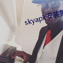 skyapk安装黄