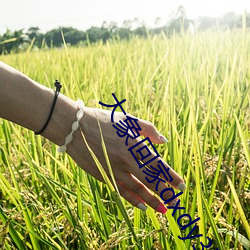 大象回家dxdy3秒跳(跳)转下载(載)