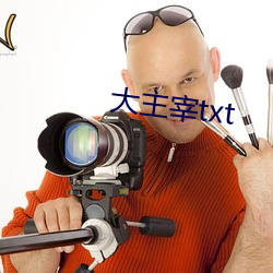 大主(zhǔ)宰txt