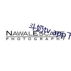 斗(鬥)奶tv app下载