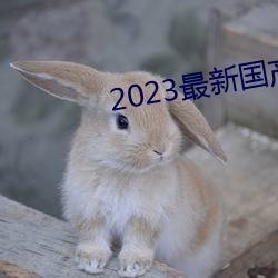 2023最新国产不卡顿 （握素披黄）