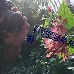 《汙視頻免費網站》高清不卡在線觀看
